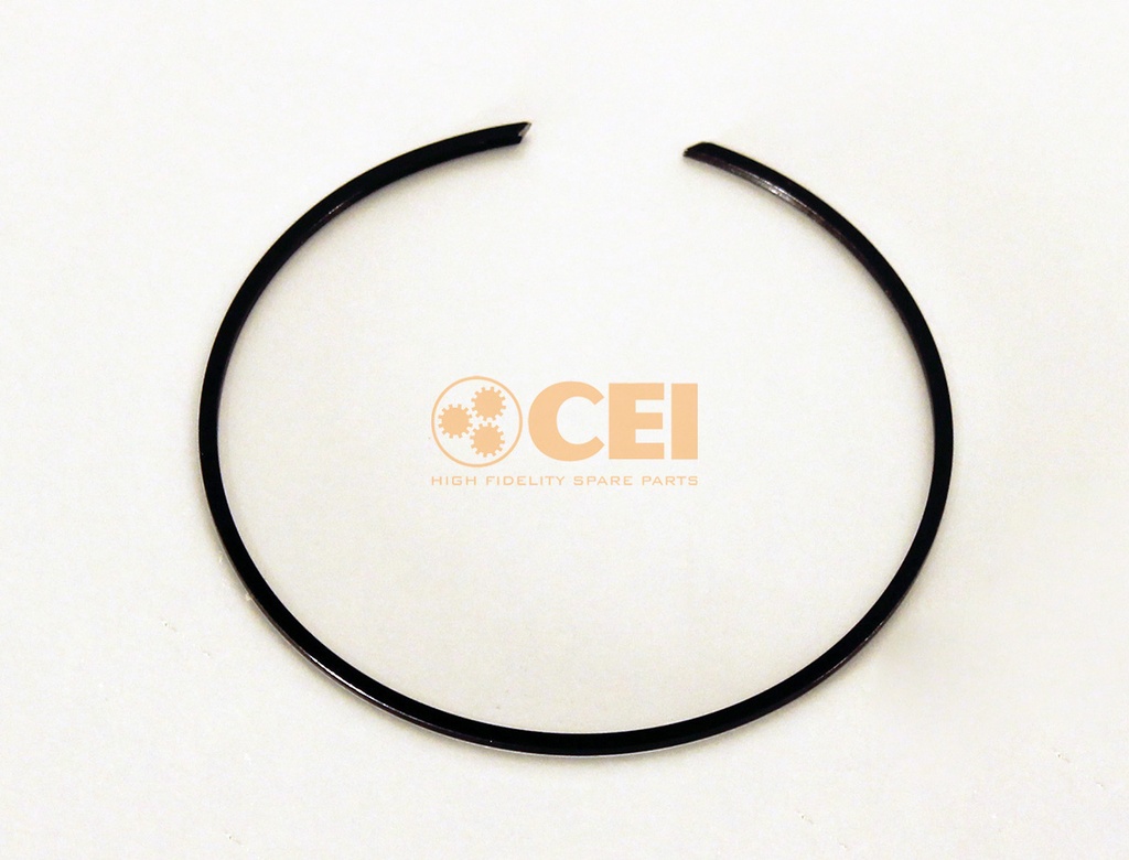 Anello elastico