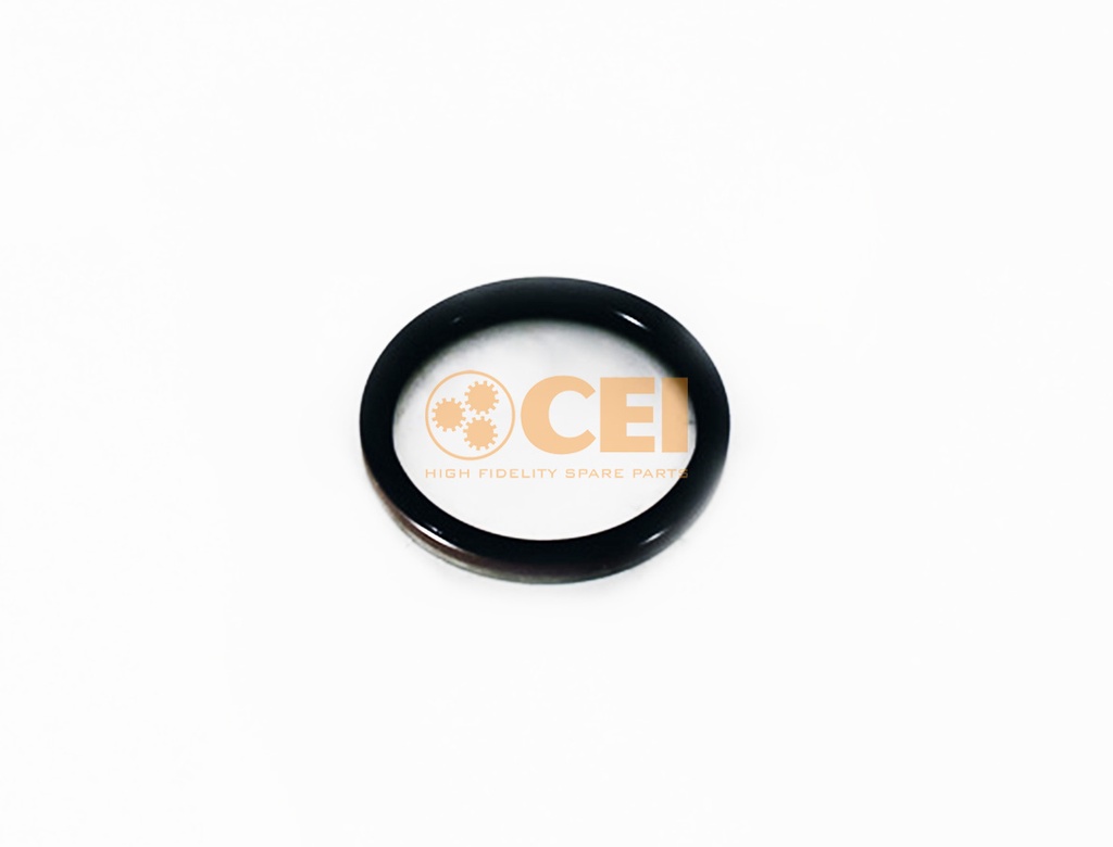 Anello di tenuta 105X125X12/9,