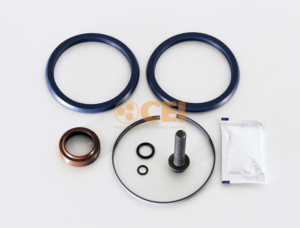 Kit revisione cilindro cambio