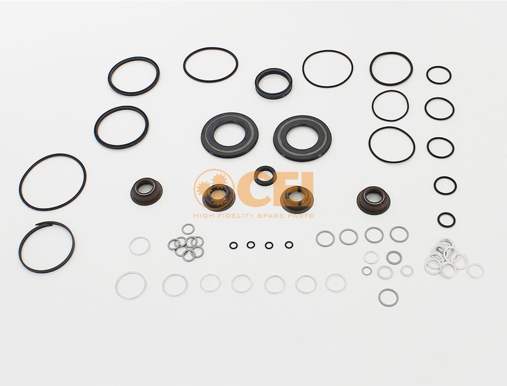 Kit paraoli+O-Rings