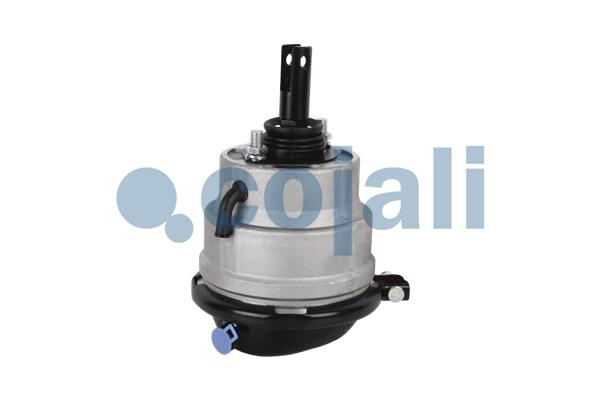 CILINDRO FRENO COMBINATO