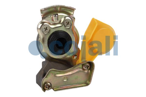 TESTA  GIALLO CON VALV. D. 22