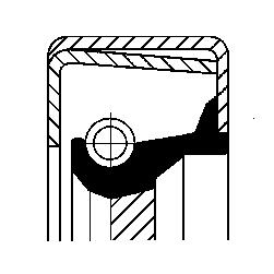 PARAOLIO, CAMBIO MANUALE