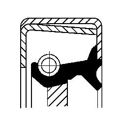 PARAOLIO, CAMBIO MANUALE