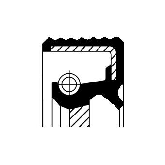 PARAOLIO, CAMBIO MANUALE