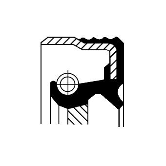 PARAOLIO, CAMBIO MANUALE