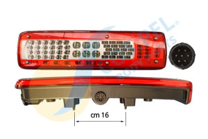 FANALE POSTERIORE DX LUNGO C.CICALINO