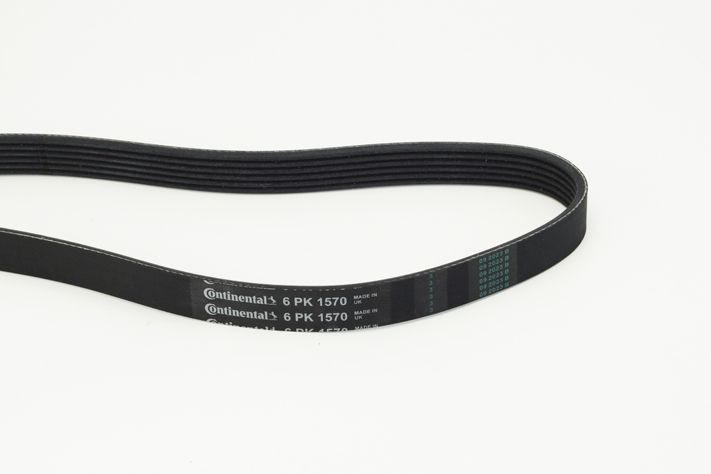6PK1570 CINGHIA POLY-V