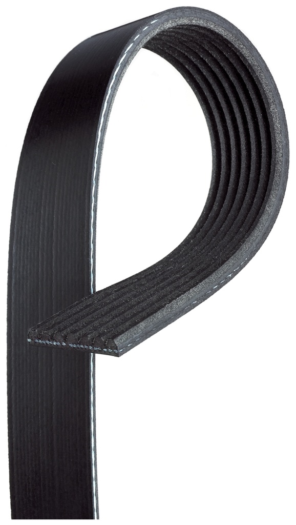 7PK1385 CINGHIA POLY-V