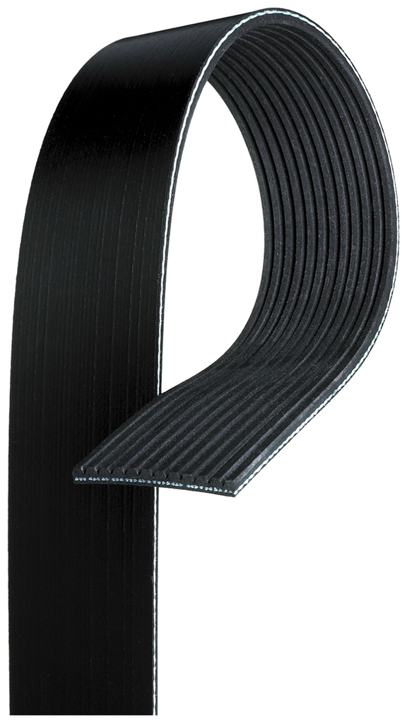 12PK1835HD CINGHIA POLY-V