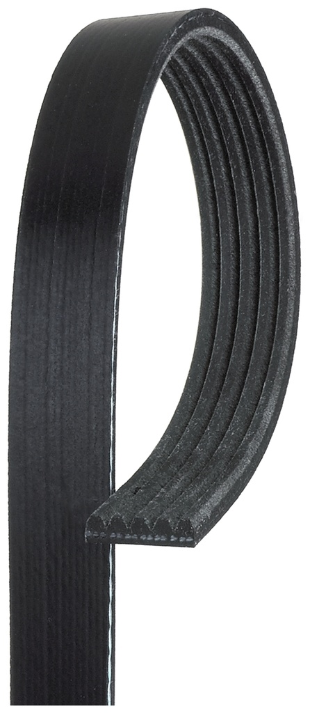 CINGHIA POLY-V