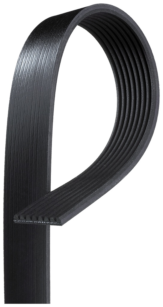 8PK1480HD CINGHIA POLY-V