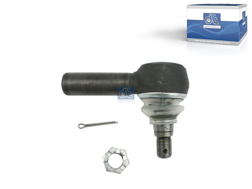 Testa