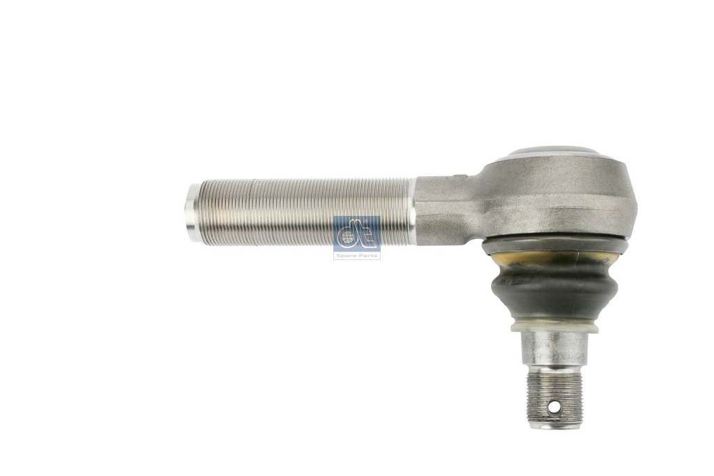 Testa
