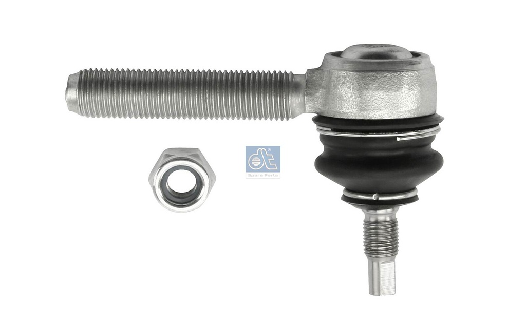 Testina