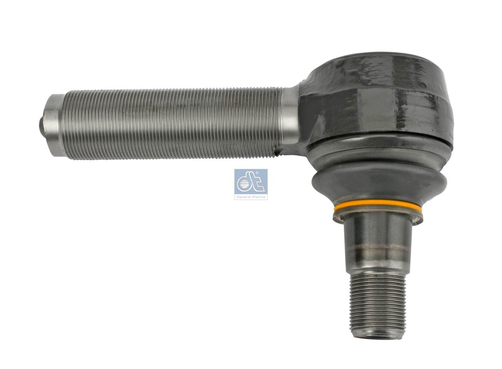 Testa