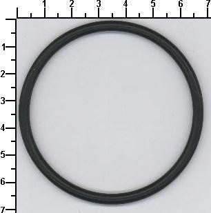 ANELLO DI TENUTA