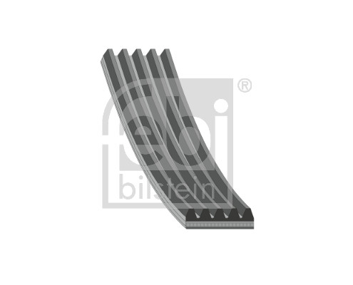 CINGHIA POLY-V
