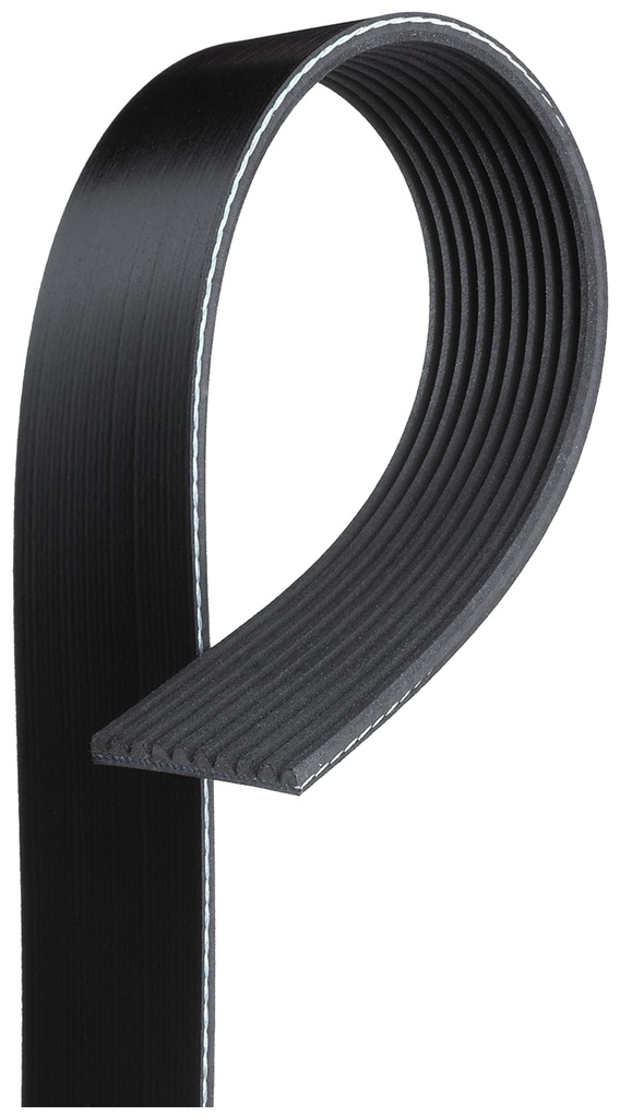 CINGHIA POLY-V