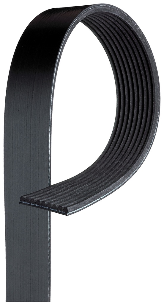 9PK1887HD CINGHIA POLY-V
