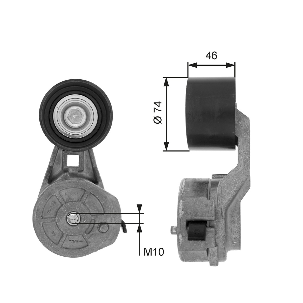 TENDICINGHIA, CINGHIA POLY-V