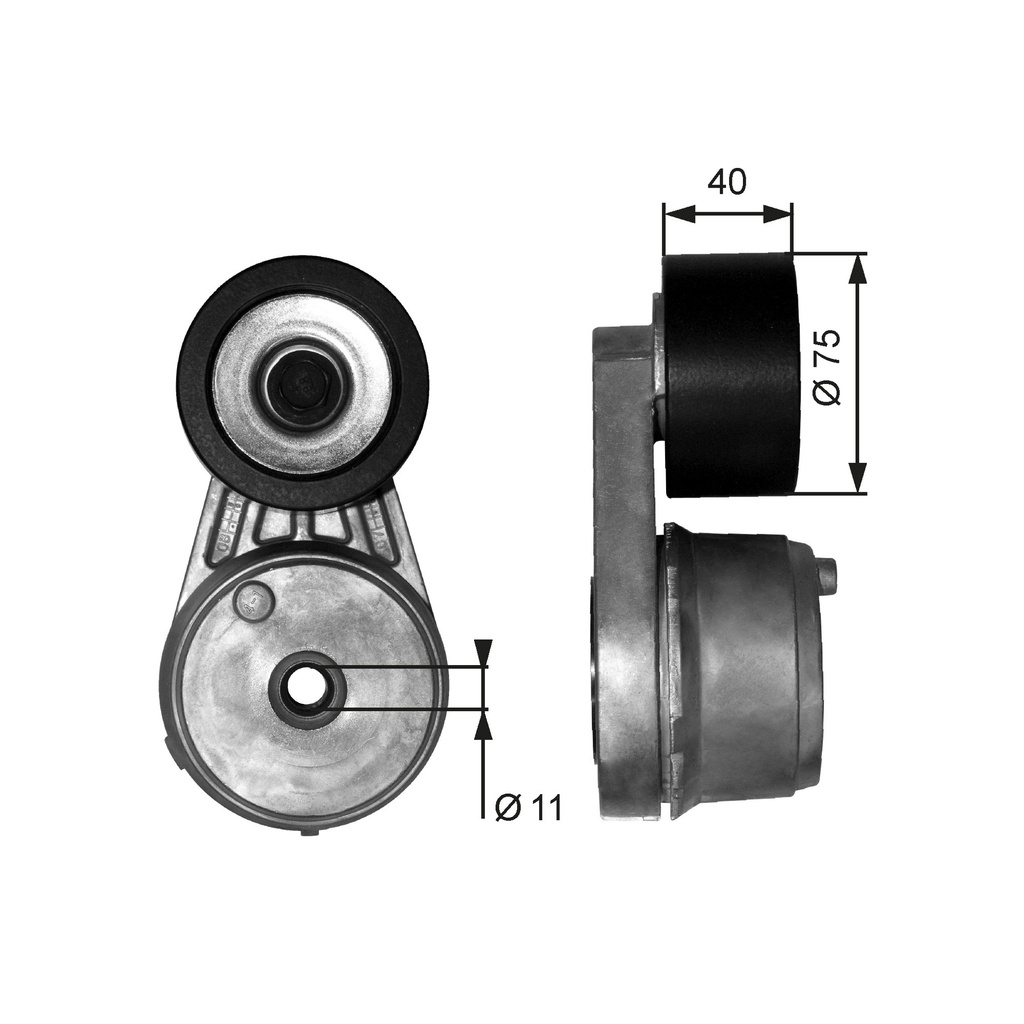 TENDICINGHIA, CINGHIA POLY-V