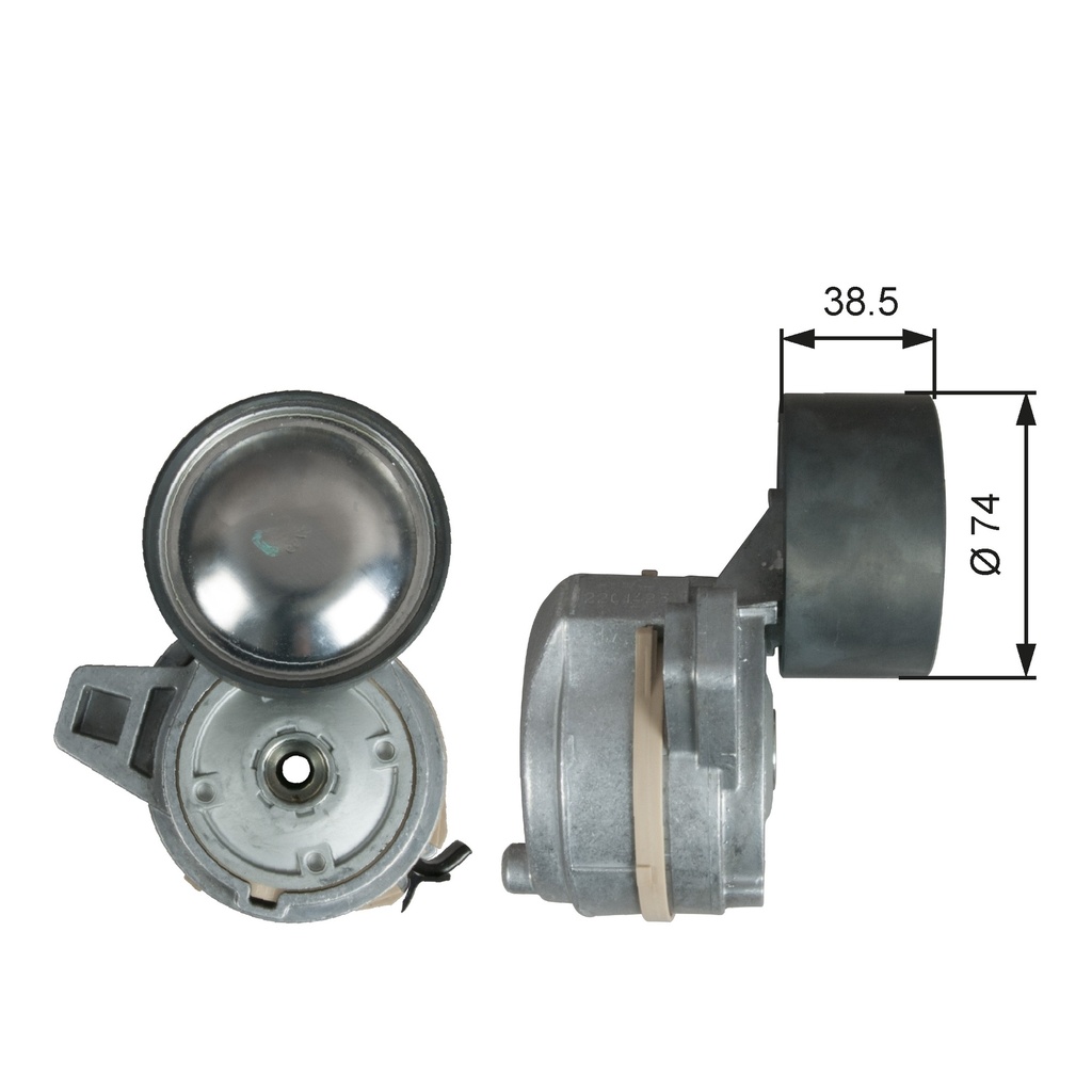 TENDICINGHIA, CINGHIA POLY-V