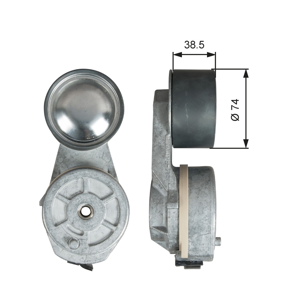 TENDICINGHIA, CINGHIA POLY-V