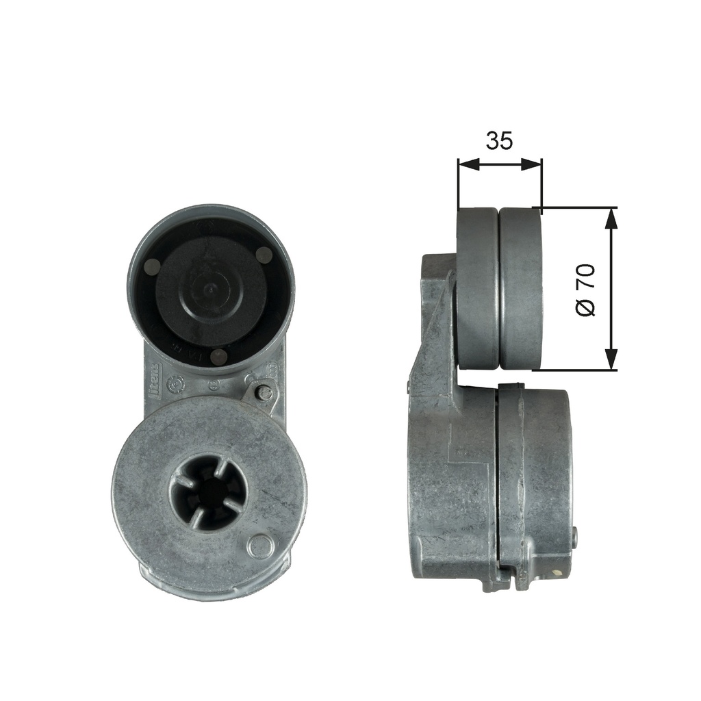 TENDICINGHIA, CINGHIA POLY-V