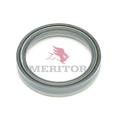 OIL SEAL