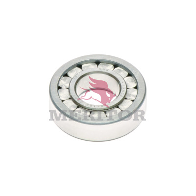 BEARING ROLLER (SPIGOT)