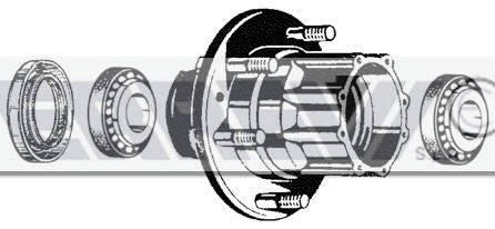 KIT MOZZO RUOTA CON CUSC.SKF