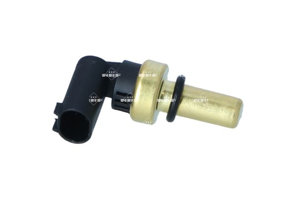 RONDELLA DENTELL.DI FERMO  A.9T