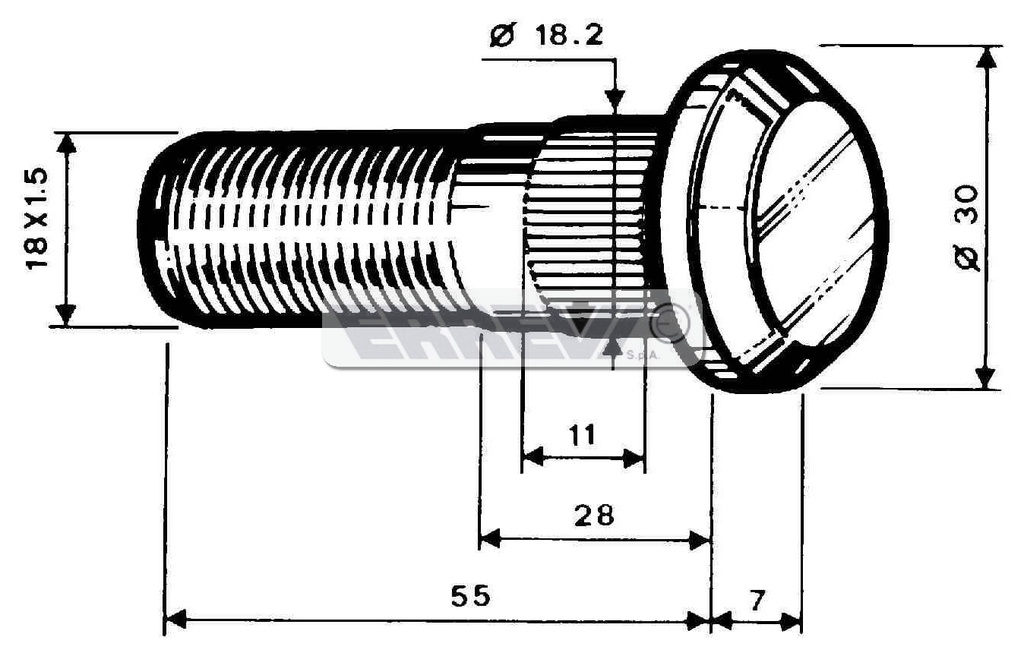 COLONNETTA P.              50F8