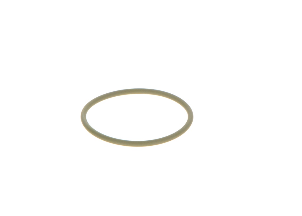 ANELLO DI TENUTA