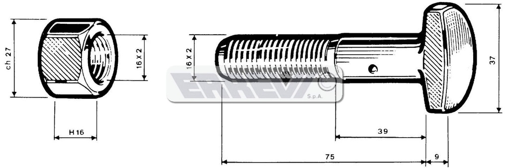 BULLONE RAGGERA 16X75       650