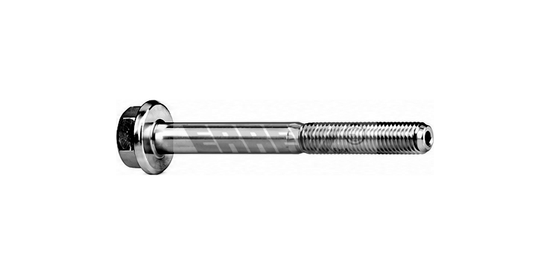BULLONE M16X2 L=170       DAF