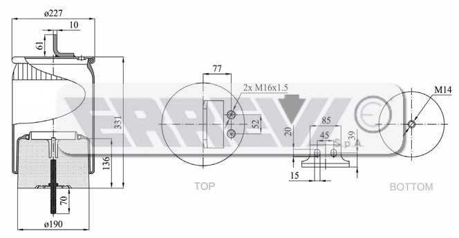 MOLLA COMPLETA DI PISTONE IVECO