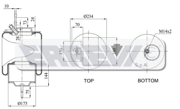MOLLA COMPLETA DI PISTONE IVECO