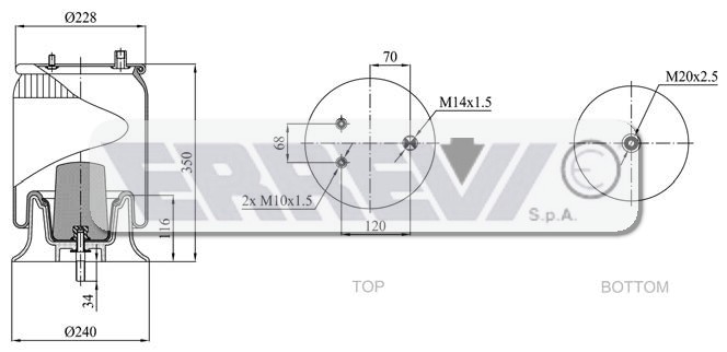 MOLLA COMPLETA DI PISTONE IVECO