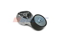 TENDICINGHIA, CINGHIA POLY-V