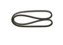 CINGHIA TRAPEZOIDALE