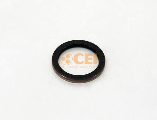 [139.747] Anello paraolio 78x100x10