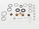Kit paraoli+O-Rings