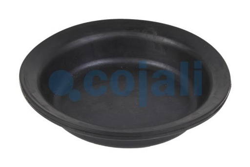 [6001123] MEMBRANA 30 CORSA MEDIA