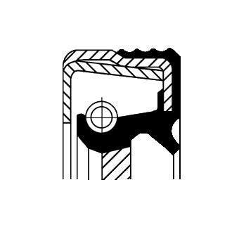 [12015400B] ANELLO TENUTA, DIFFERENZIALE