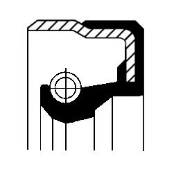 [12015499B] PARAOLIO, MOZZO RUOTA