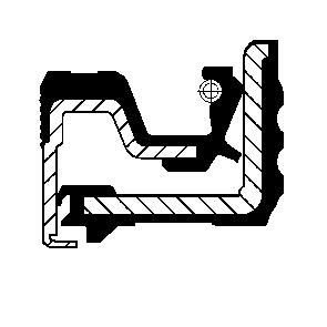 [12019512B] ANELLO TENUTA, DIFFERENZIALE