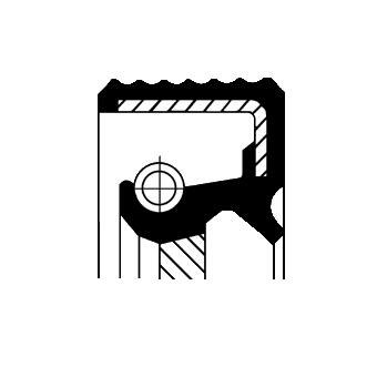 [20030333B] PARAOLIO, PRESA FORZA SECONDARIA